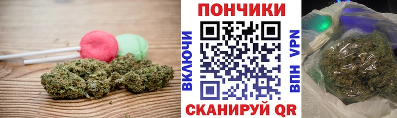 Canna-Cookies конопля  Козьмодемьянск 
