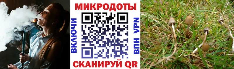 Галлюциногенные грибы MAGIC MUSHROOMS  Козьмодемьянск 